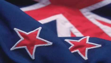IT industry better fit with NZ brand than dairy?