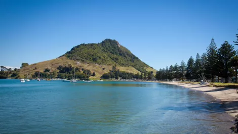 NZ's top holiday spot gets free WiFi