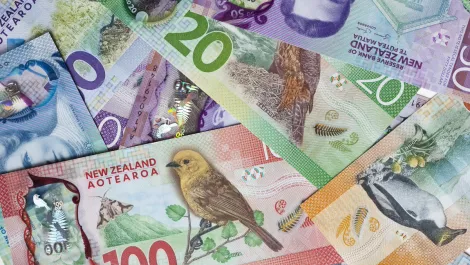 Auckland IT pros... What are YOU earning?