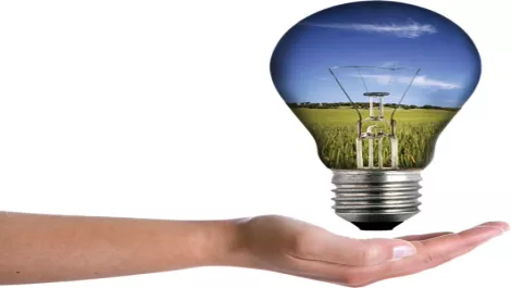 Focus on corporate responsibility key to profitable business
