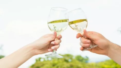 Wine sensor technology to make Sauvignon blanc better than ever