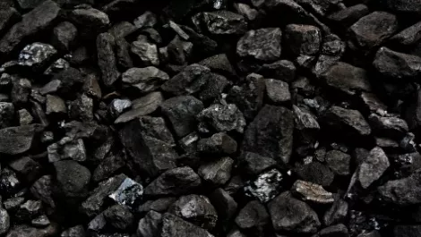 Bohannan resigns from Bathurst Resources