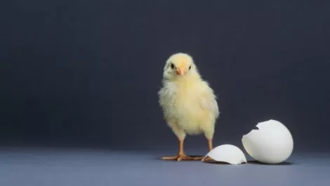 IDC to CIOs: You must transform or be left behind