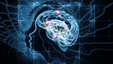 Kiwi developer takes Artificial Intelligence to new heights