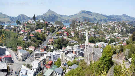 3 Dunedin-born startups take home $60,000 worth of GigStart funding