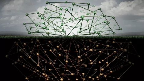 Visiting cybercrime expert says the deep web can benefit NZ businesses
