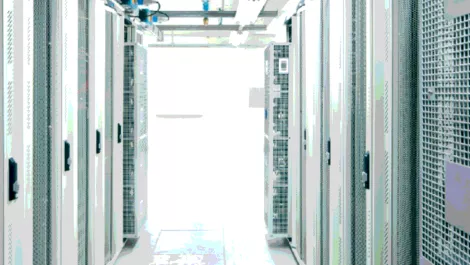 Case Study: How Volta and Next Connex's partnership has progressed one year on