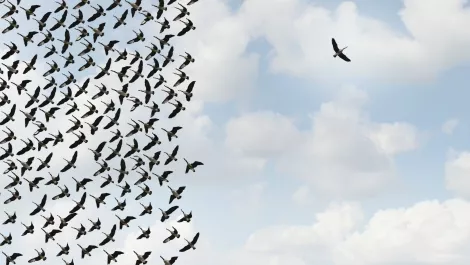 'Disruptor in software-defined blocks storage' awarded US patent