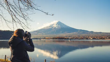 Travel photos on Flickr hint at people's global travel patterns