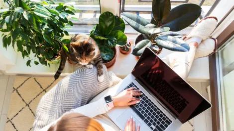 CybeReady launches remote working toolkit to boost security
