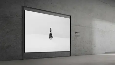 Samsung unveils 130-inch Micro RGB TV flagship at CES