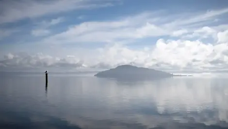 Testing eases Rotorua lake and forest 'forever chemical' fears